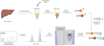 Nat.Chem | Multiplex quantitative lipidomics of phospholipids and sulfated glycolipids using diazobutanone combined with Isobaric Tag and tandem mass spectrometry